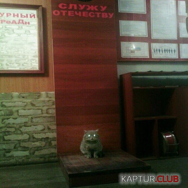 tollko_u_nas_24.jpg | Рено Каптур Клуб Россия | Форум KAPTUR.SU