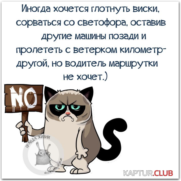 TUbME63Ni7M.jpg | Рено Каптур Клуб Россия | Форум KAPTUR.SU