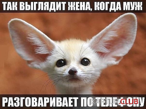 u_DCqBhGXSo.jpg | Рено Каптур Клуб Россия | Форум KAPTUR.SU