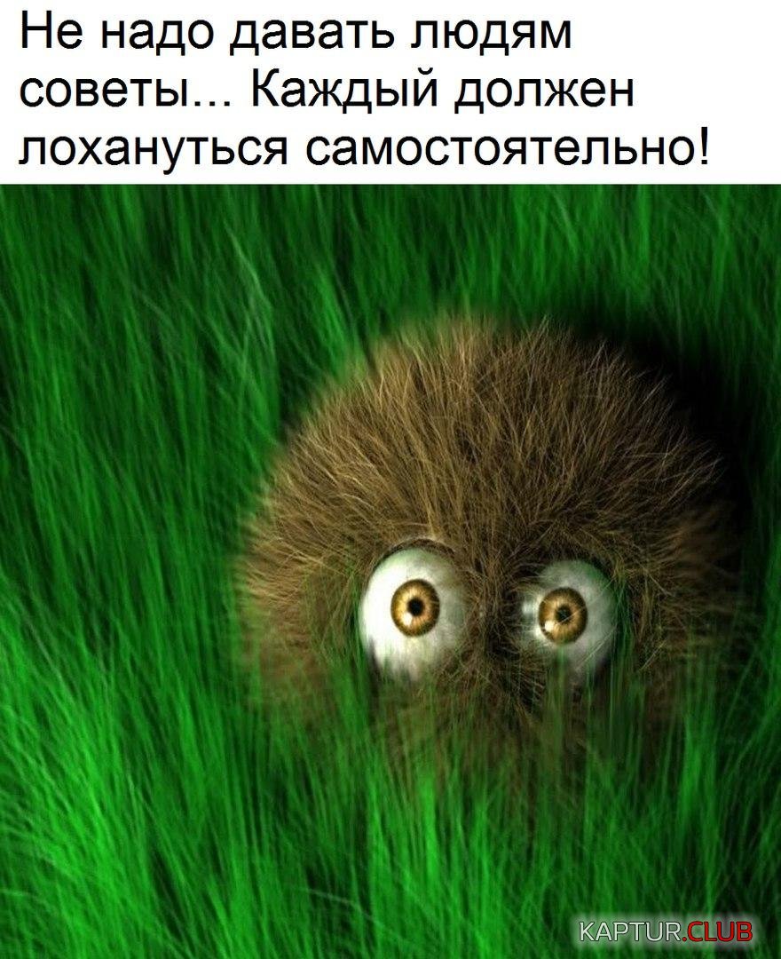 uEh02CQWibs.jpg | Рено Каптур Клуб Россия | Форум KAPTUR.SU