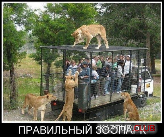 uFe8L6Ta3fc.jpg | Рено Каптур Клуб Россия | Форум KAPTUR.SU