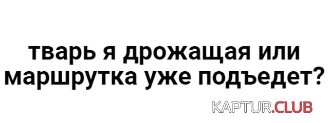 umniy_jumor_20.jpg | Рено Каптур Клуб Россия | Форум KAPTUR.SU