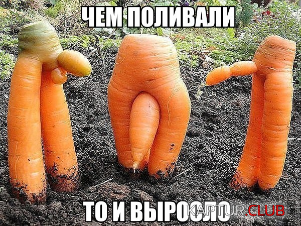 untitled.png | Рено Каптур Клуб Россия | Форум KAPTUR.SU