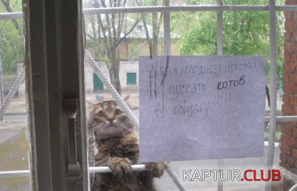 untitled.png | Рено Каптур Клуб Россия | Форум KAPTUR.SU