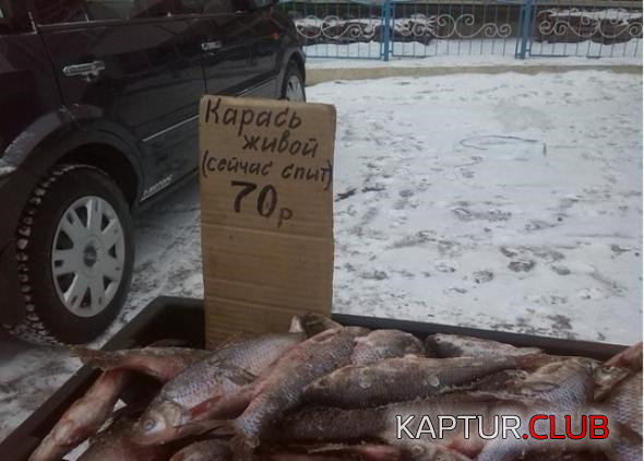 untitled.png | Рено Каптур Клуб Россия | Форум KAPTUR.SU