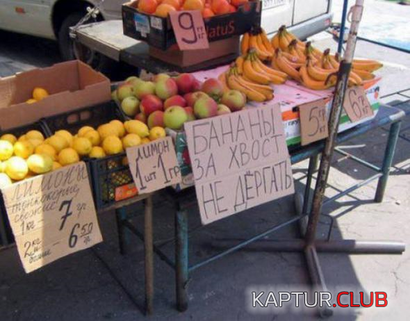 untitled.png | Рено Каптур Клуб Россия | Форум KAPTUR.SU