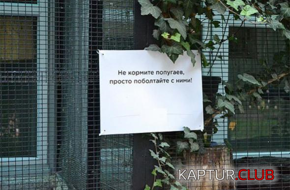 untitled.png | Рено Каптур Клуб Россия | Форум KAPTUR.SU