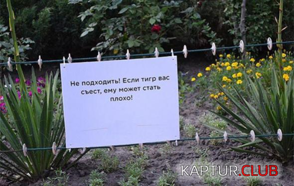 untitled.png | Рено Каптур Клуб Россия | Форум KAPTUR.SU