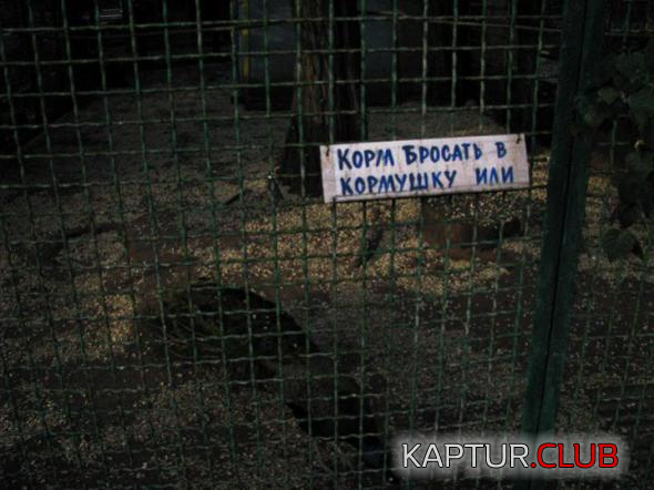 untitled.png | Рено Каптур Клуб Россия | Форум KAPTUR.SU