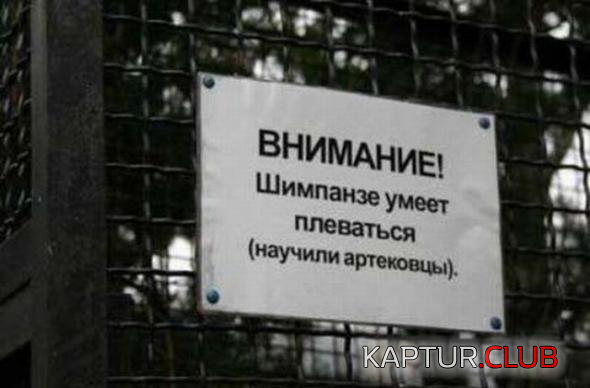 untitled.png | Рено Каптур Клуб Россия | Форум KAPTUR.SU