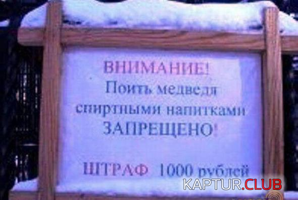 untitled.png | Рено Каптур Клуб Россия | Форум KAPTUR.SU