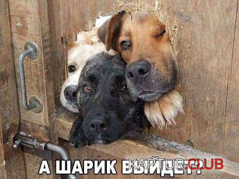 untitled.png | Рено Каптур Клуб Россия | Форум KAPTUR.SU