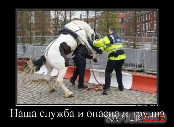 untitled.png | Рено Каптур Клуб Россия | Форум KAPTUR.SU