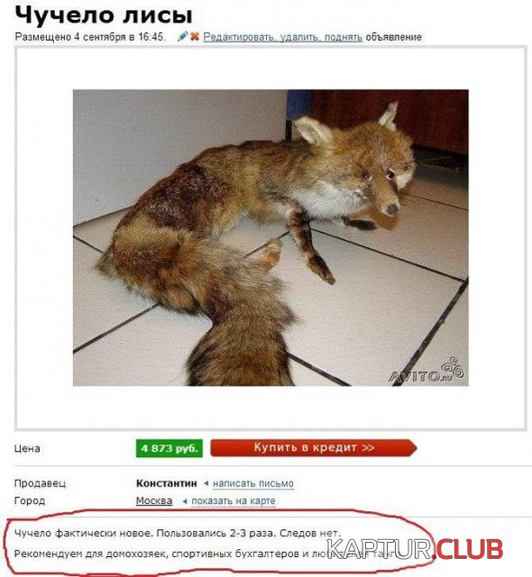 untitled.png | Рено Каптур Клуб Россия | Форум KAPTUR.SU