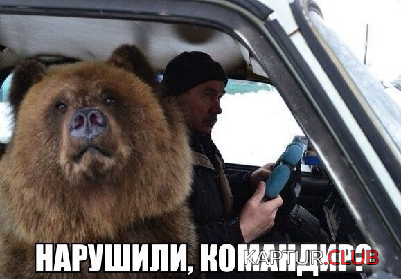 untitled.png | Рено Каптур Клуб Россия | Форум KAPTUR.SU