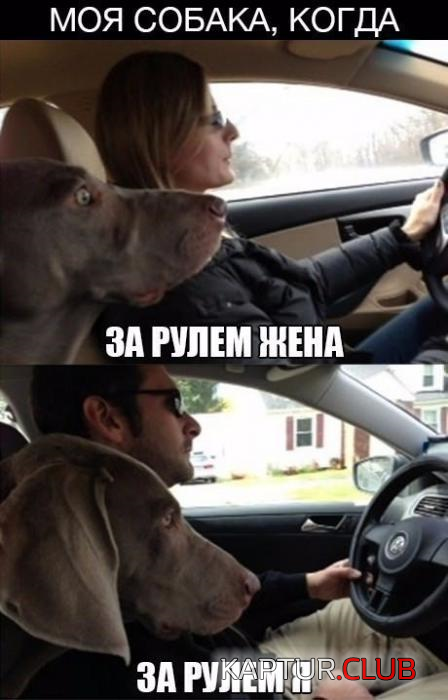 untitled.png | Рено Каптур Клуб Россия | Форум KAPTUR.SU