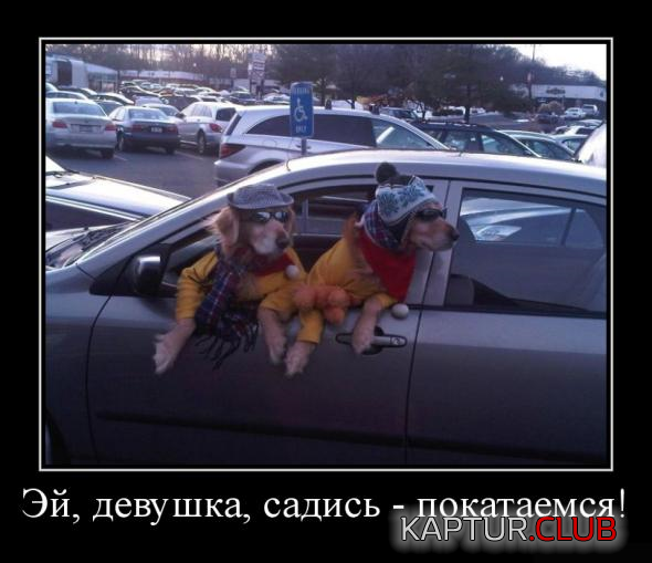 untitled.png | Рено Каптур Клуб Россия | Форум KAPTUR.SU