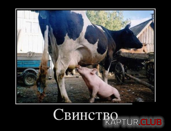 untitled.png | Рено Каптур Клуб Россия | Форум KAPTUR.SU