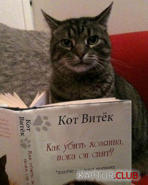 untitled.png | Рено Каптур Клуб Россия | Форум KAPTUR.SU