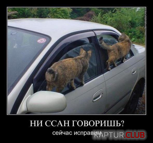 untitled.png | Рено Каптур Клуб Россия | Форум KAPTUR.SU