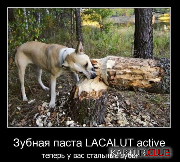 untitled.png | Рено Каптур Клуб Россия | Форум KAPTUR.SU