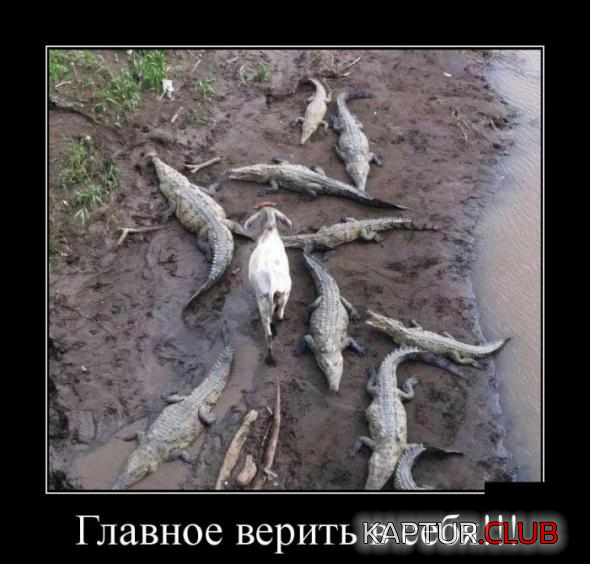 untitled.png | Рено Каптур Клуб Россия | Форум KAPTUR.SU
