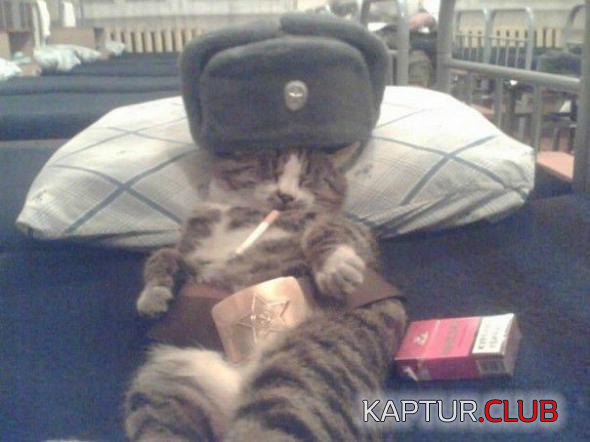 untitled.png | Рено Каптур Клуб Россия | Форум KAPTUR.SU