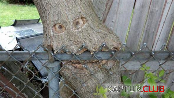 untitled.png | Рено Каптур Клуб Россия | Форум KAPTUR.SU