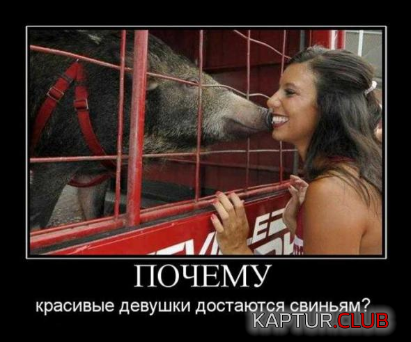 untitled.png | Рено Каптур Клуб Россия | Форум KAPTUR.SU