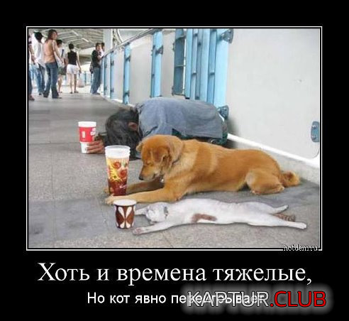 untitled.png | Рено Каптур Клуб Россия | Форум KAPTUR.SU
