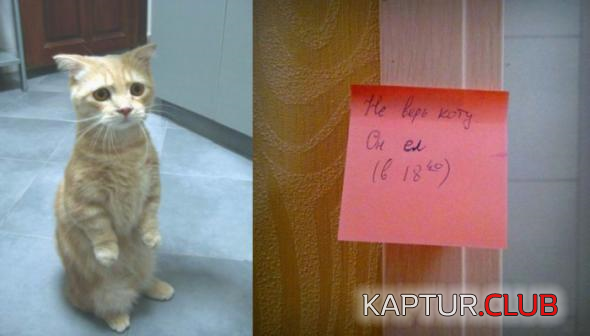 untitled.png | Рено Каптур Клуб Россия | Форум KAPTUR.SU