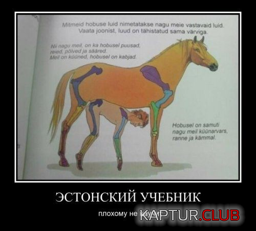 untitled.png | Рено Каптур Клуб Россия | Форум KAPTUR.SU
