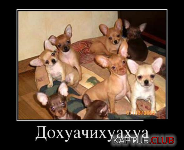 untitled.png | Рено Каптур Клуб Россия | Форум KAPTUR.SU