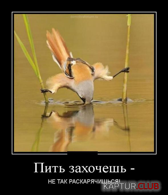 untitled.png | Рено Каптур Клуб Россия | Форум KAPTUR.SU