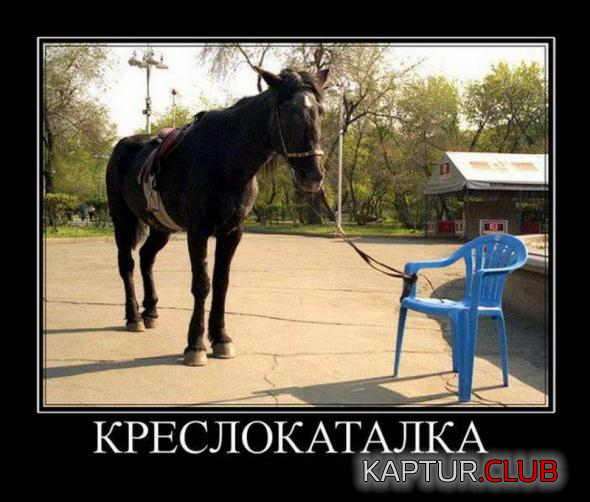 untitled.png | Рено Каптур Клуб Россия | Форум KAPTUR.SU