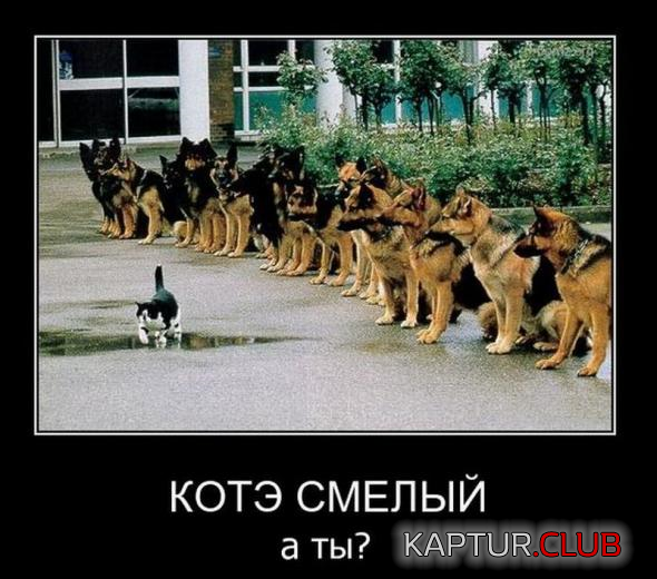 untitled.png | Рено Каптур Клуб Россия | Форум KAPTUR.SU