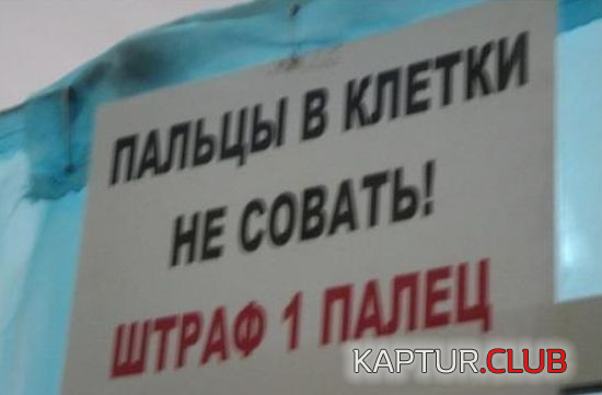 untitled.png | Рено Каптур Клуб Россия | Форум KAPTUR.SU