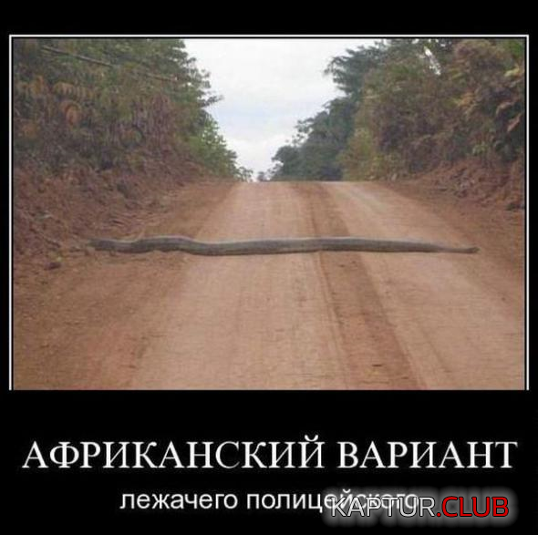untitled.png | Рено Каптур Клуб Россия | Форум KAPTUR.SU