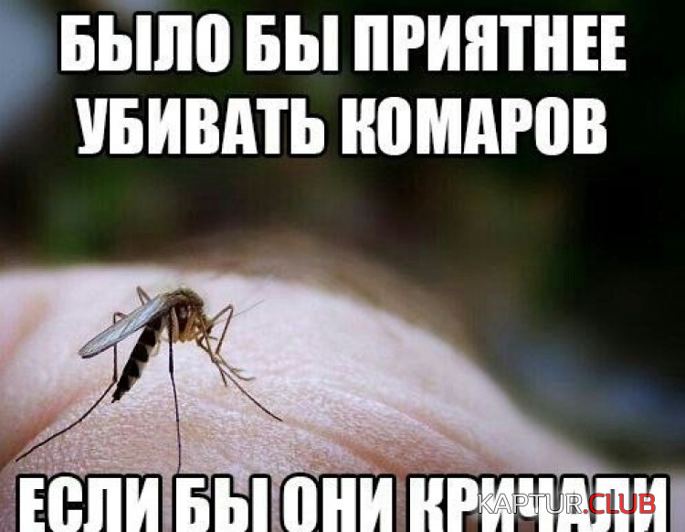 untitled.png | Рено Каптур Клуб Россия | Форум KAPTUR.SU