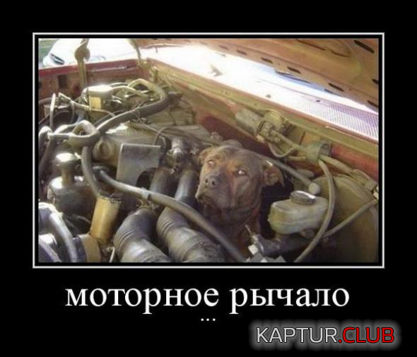 untitled.png | Рено Каптур Клуб Россия | Форум KAPTUR.SU