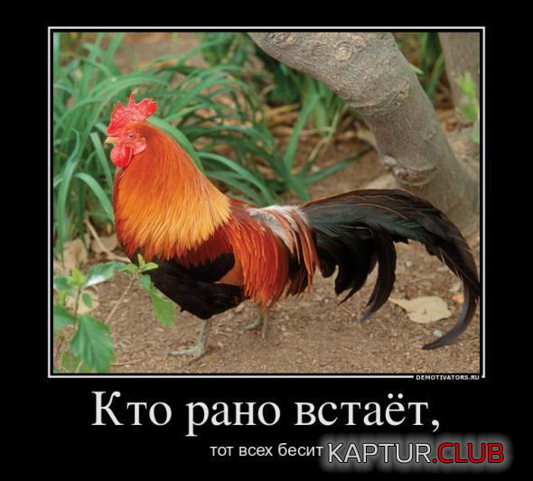 untitled.png | Рено Каптур Клуб Россия | Форум KAPTUR.SU