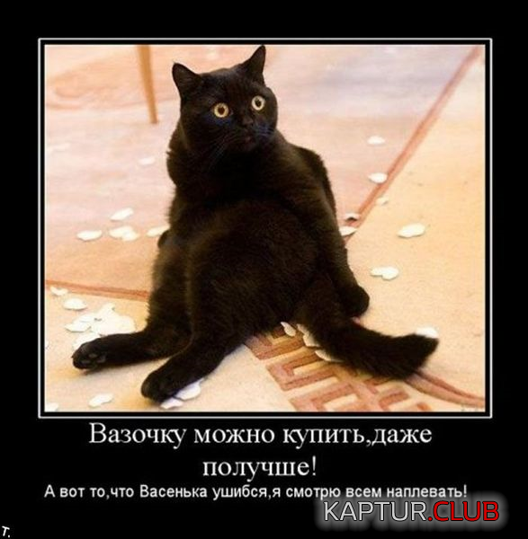 untitled.png | Рено Каптур Клуб Россия | Форум KAPTUR.SU