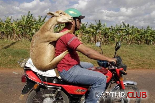 untitled.png | Рено Каптур Клуб Россия | Форум KAPTUR.SU
