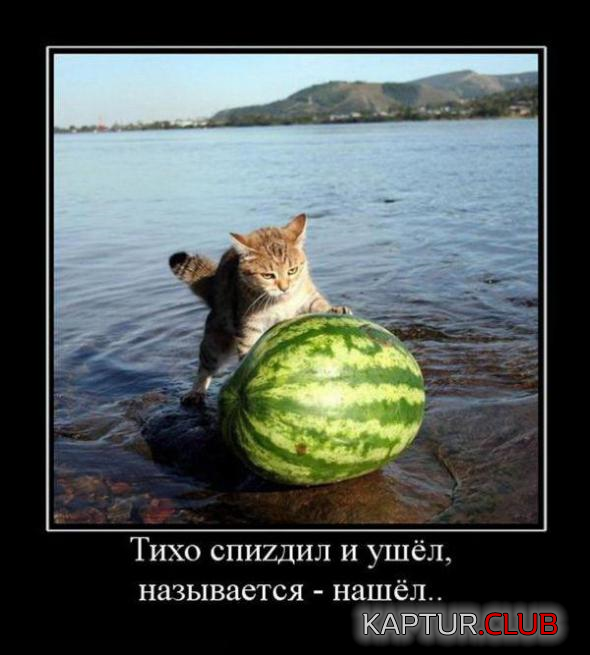 untitled.png | Рено Каптур Клуб Россия | Форум KAPTUR.SU