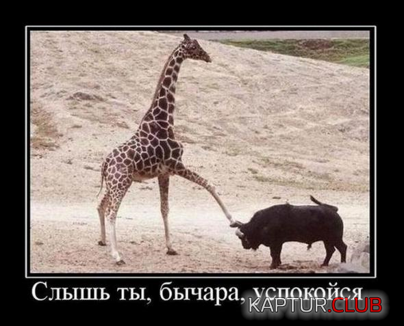untitled.png | Рено Каптур Клуб Россия | Форум KAPTUR.SU