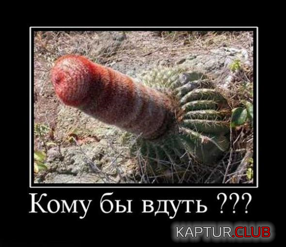 untitled.png | Рено Каптур Клуб Россия | Форум KAPTUR.SU