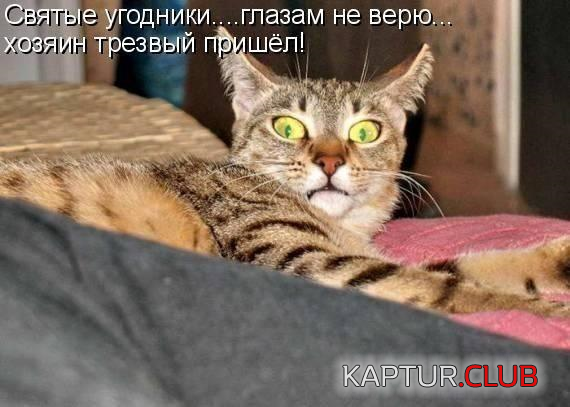 untitled.png | Рено Каптур Клуб Россия | Форум KAPTUR.SU