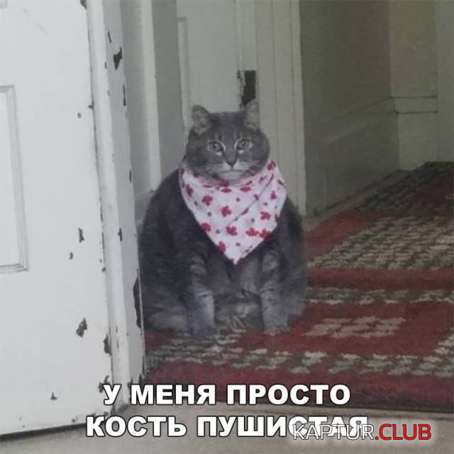 untitled.png | Рено Каптур Клуб Россия | Форум KAPTUR.SU