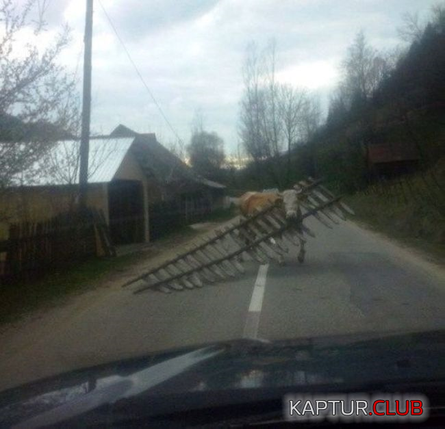 untitled.png | Рено Каптур Клуб Россия | Форум KAPTUR.SU