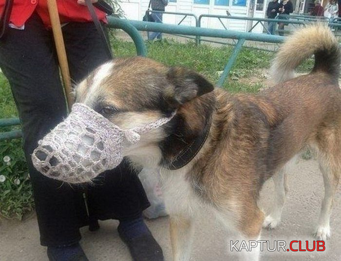 untitled.png | Рено Каптур Клуб Россия | Форум KAPTUR.SU